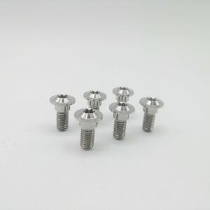 6개세트 티타늄 티 바이크 오토바이 자전거 로터 볼트 나사 전동바이크 리어 브레이크 M8x20mm 토르크 T40
