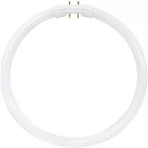 Satco S855 3000K 22와트 2GX3 T5 서클라인 고성능 램프 웜 화이트