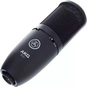 AKG Pro 오디오 P120 프로페셔널 2/3인치 다이어프램 트루 컨덴서 스튜디오 마이크 올 메탈 디자인 실버.