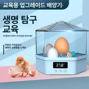 가정용 계란 인큐베이터 육추기 반자동