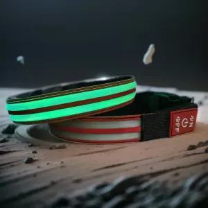 조명이 있는 개 목걸이 5가지 모드 실리콘 애완동물 안전을 위한 USB C 충전식 LED 조절 가능한 부드러운