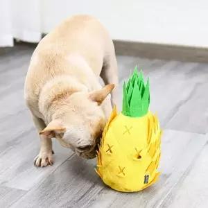 파인애플 노즈워크 강아지 간식 장난감 분리불안 이갈이 애착인형