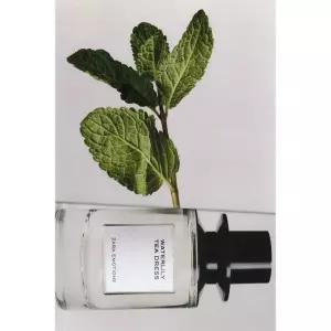 ZARA WATERLILY TEA DRESS 오드 퍼퓸 100ML 3.4 FL. OZ 423892