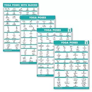 Palace Learning 4팩 - 요가 포즈 포스터 볼륨 1 2 3 요가 블록이 있는 요가 포지션 - 초보자 요가 포지션