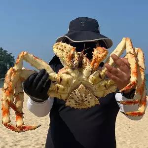 [NS홈쇼핑]자숙 블루 킹크랩 러시아 3.5kg[35905340]