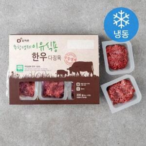 돈마루 무항생제인증 한우 다짐육 이유식용 (냉동) 300g × 1개