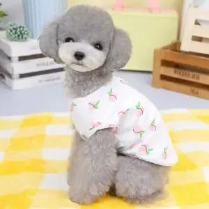 [콩심팥심]피치 쿨링 하네스 나시 강아지옷 반려견 옷 애견 강아지 강아지패딩