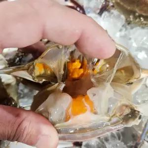 연평도 제철 암꽃게 활꽃게 가을 제철절단 급냉동 숫꽃게 1kg 서해안 산지