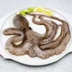 냉동 활낙지 850g (8미 100-150/6미 150-200/4미 200-300/3미 300-500)