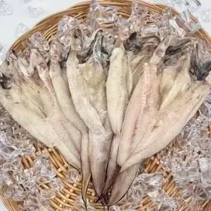 동해안 반건조 나막스 붉은메기 소형 25미 2.5kg23828533588324