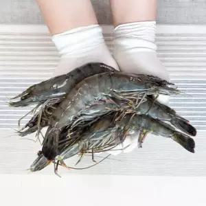 피터씨마켓 블랙타이거새우 500g(12미)*2 총 1Kg