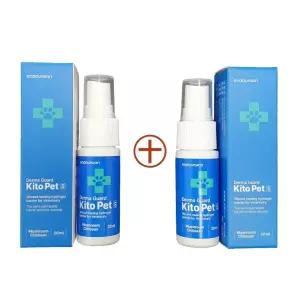 키토펫 스프레이 20ml 2개 강아지 상처 피부보호 발바닥 케어 하이드로겔 동물용 멸균 의료기기