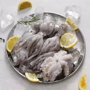 26년 제철 활 쭈꾸미 1kg 10-16미
