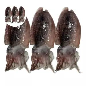 냉동 국내산 손질 갑오징어 500g 꼬마 냉동 갑 손질