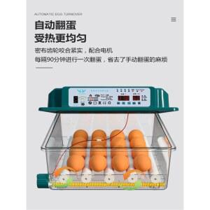 부화용품/병아리부화기 국산병아리 자동 반자동 1 사육 달걀 자동부화 단전 병아리 24매