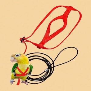 조절식 새 하네스와 가죽끈 앵무새 훈련 용품 애완동물 물림 방지 야외 비행 로프 콘유어 버저리그용