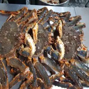 BS 녹진한 버터향 풍미 러시아 블루 자숙킹크랩 2.5kg