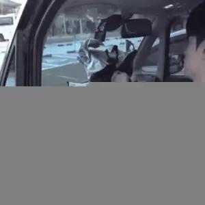 ( )차창문가리개 차량가림막 화물차햇빛가리개 자동차
