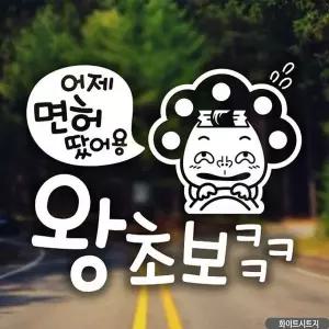 [RIZPICK]자동차스티커 어제면허땄어용 왕초보 화이트시트지 초
