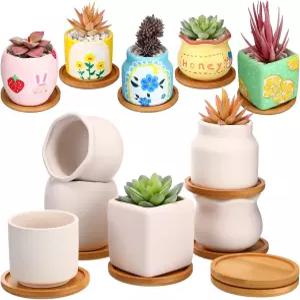 Maxdot 2 세트 3 인치 DIY 세라믹 다육 화분 페인트 미칠 가능 정원 가꾸기용 도자기 페인팅 공예 키트