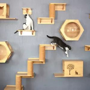 DIY 원목 캣워커 캣타워 구름다리 고양이 벽선반 투명해먹 캣워크 벽걸이