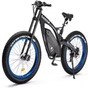 ECOTRIC 전기 자전거 000W 모터 팻 어 8AH /48V 대형 탈착식 배터리 26인치 x 48인치 서스펜션 포크가