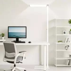 20W LED 플로어 램프 768인치 높이 등 0000LM 노브 스탠딩 풀 스펙트럼 케어 공부방 사무실 거실