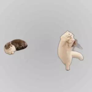 PET 고양이 낚시대 4단 롱낚시대 리필 단품 교체 접이식