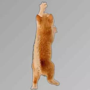 고양이 접착식 매트 카펫 스크래쳐 캣타워 코너벽타냥