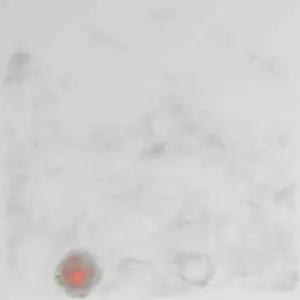 붙이는 수족관 물고기 50마리 스티커