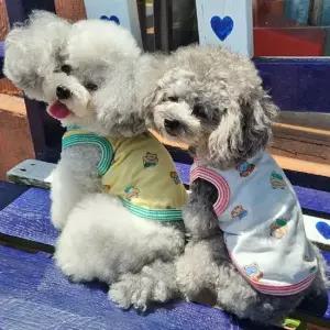 강아지 튜브곰 나시 티셔츠 1P 시원한 민소매 여름