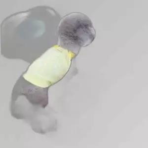 애견복 애견올인원 와플 하네스 멜빵 BN 강아지옷