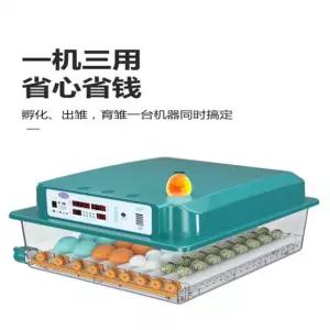 부화용품/병아리부화기 국산병아리 자동 인큐베이터 전란 기계 자동부화기 메추리 사육 병아리 스마트싱글 6개 온도조절 달걀뒤집기 달걀 비추기 물올리기