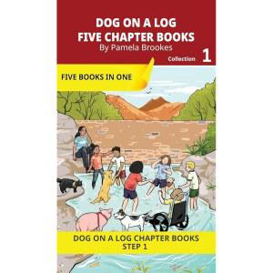 Five Chapter Books 1: Decodable Series for Students Learning to Read. Beginning Readers and with Dys