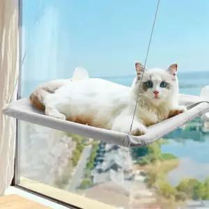 창틀 고양이 하우스 방석 흡착 침대 창문선반 해먹 캣타워 창문