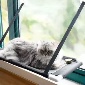 윈도우 고양이 캣타워 고양이해먹