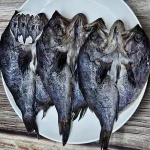 손질 쫀득한 반건조 생선 6미 냉동 찌개 우럭 구이용