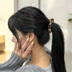 포니테일 올림머리 집게핀 브라운-WFNA38J