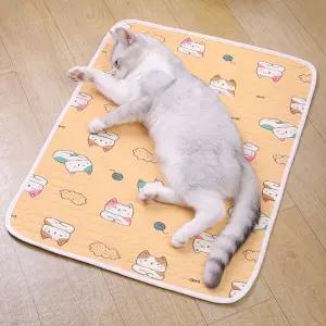 마프랜라떼 고양이쿨매트 강아지 방석 XL 침대 펫매트 반려동물