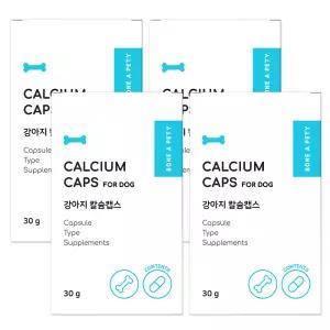 본아페티 강아지 캡슐 영양제 고기능성 칼슘, 60캡슐, 4개 칼슘캡스 500mg x 60캡슐 482936