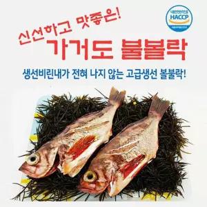 가거도 불볼락 대 3마리생선 도볼락 도불 신선한 구이용 매운탕용
