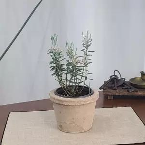 테라원 빈티지 아쿠아 토분 HN30416 12x12cm 로워팟분갈이화분 홈가드닝 식물키우기 인테리어 가벼운 용기