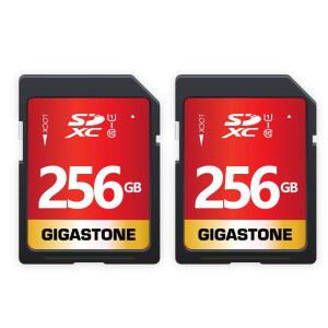 기가스톤 256GB SD 카드 2팩 UHS-I U1 클래스 10 SDXC 메모리 고속 풀 HD 비디오 캐논 올림푸스 디지털 카메라 미니 케이스 2개 포함