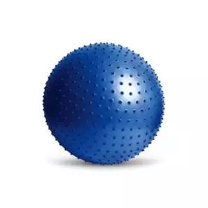 짐볼 헬스용품 블루 헬스 펌프 마사지 요가 용품 65cm