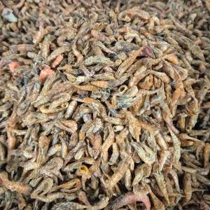 [울돌목] 국내산 먹새우 300g (소) 건새우 육수용