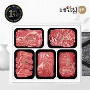 [농협안심한우] 1++등급 한우 선물세트 구이정육2호 2kg