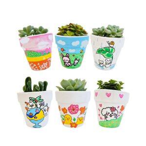 키우기 집들이 토분 공기정화식물 다육이 미니 선물 플랜테리어 키트 DIY