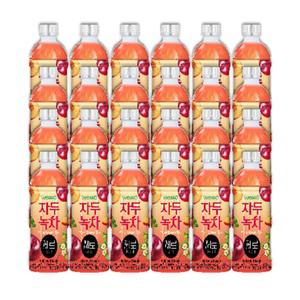 웰그린) 자두녹차 제로 500ml(24입)