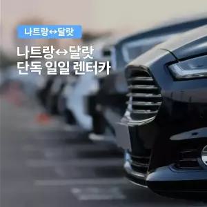 [달랏] 나트랑 출발 달랏 렌트카 프라이빗 차량 택시투어