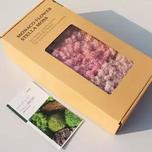 모나코플라워 스텔라 모스이끼 3색 세트 500g (핑크빛 사랑)